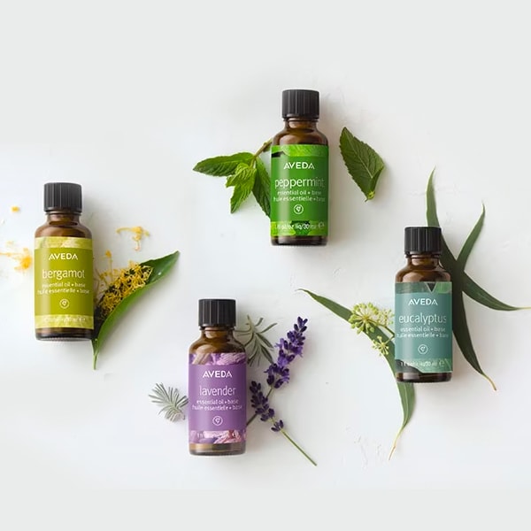 essential oil singular notes