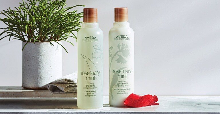 Magasiner les ensembles cadeaux en édition limitée d'Aveda