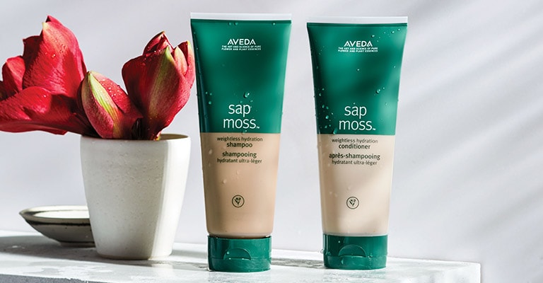 Magasiner le shampooing et le revitalisant sap moss
