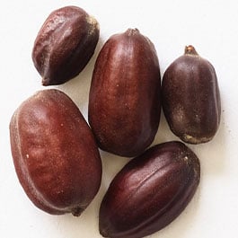 l'huile de jojoba