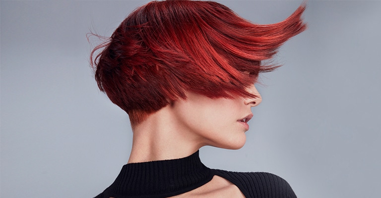 Discover high-performance hair color