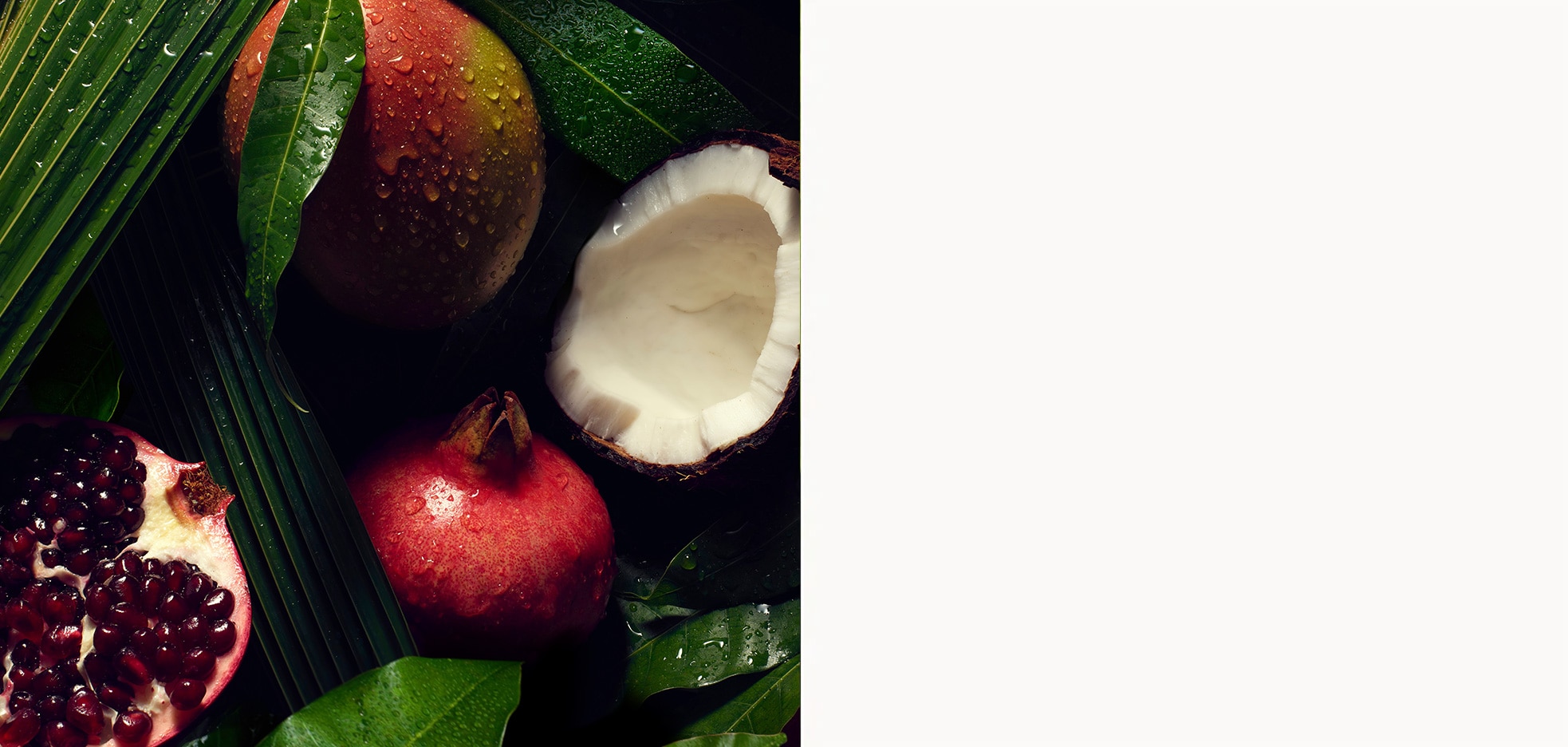 Pre-approved stock imagery of a ingredients close-up.