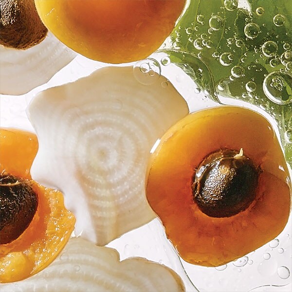 Abricot et actifs bio-fermentés
