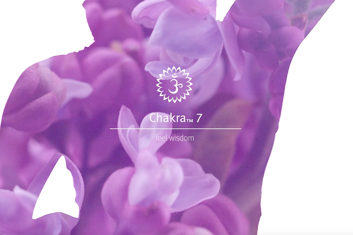 Listen to this meditation and spray the grounding blend Chakra 7 to enhance your experience