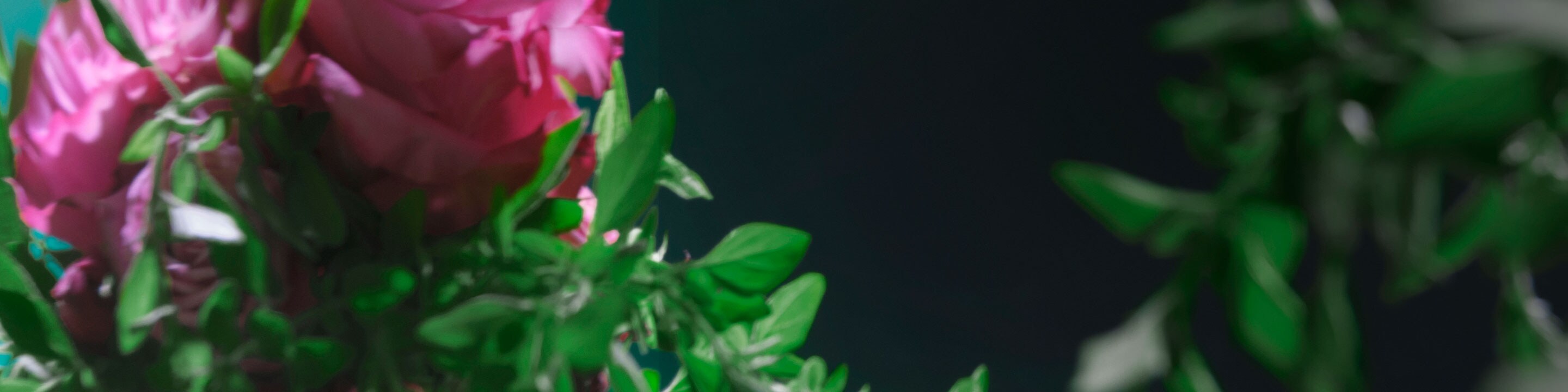Infuse your hair with Botanical Repair Pure Fume