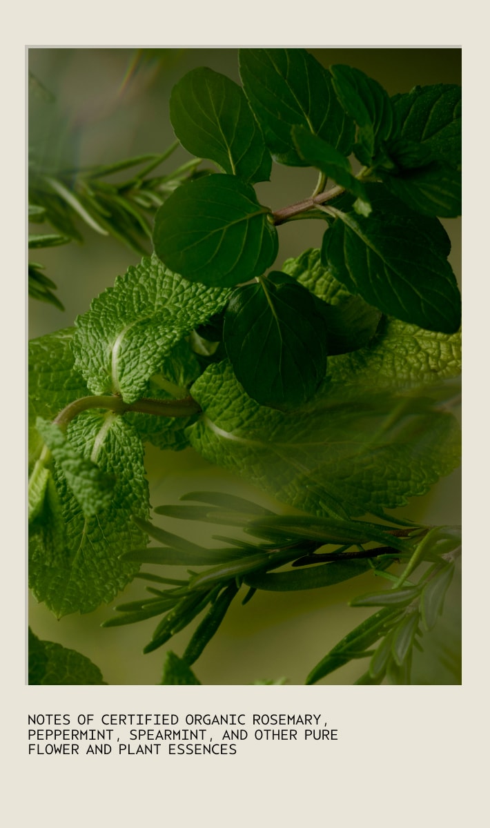 Rosemary Mint Composition Oil™ For Body, Bath And Scalp
