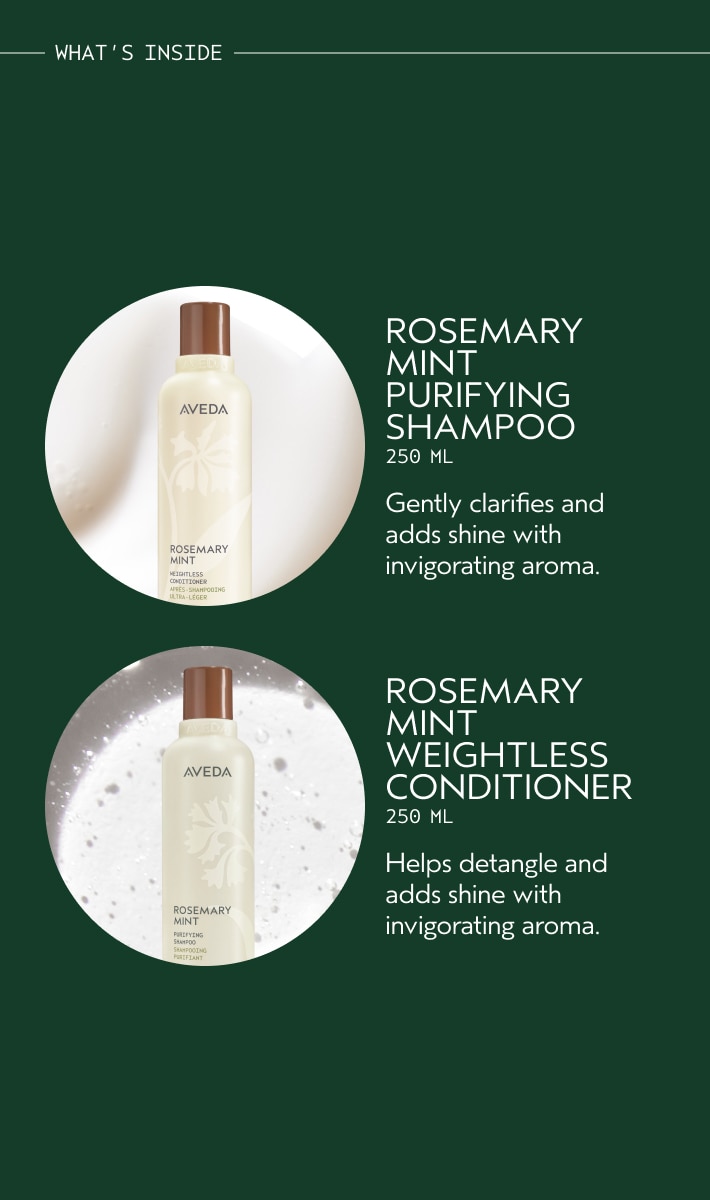 Gift of Transformation Hair Care & Styling Icons Set