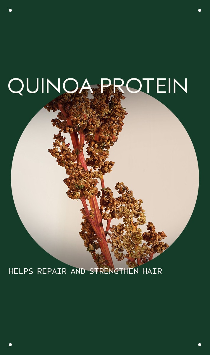 damage remedy<span class="trade">&trade;</span> restructuring shampoo