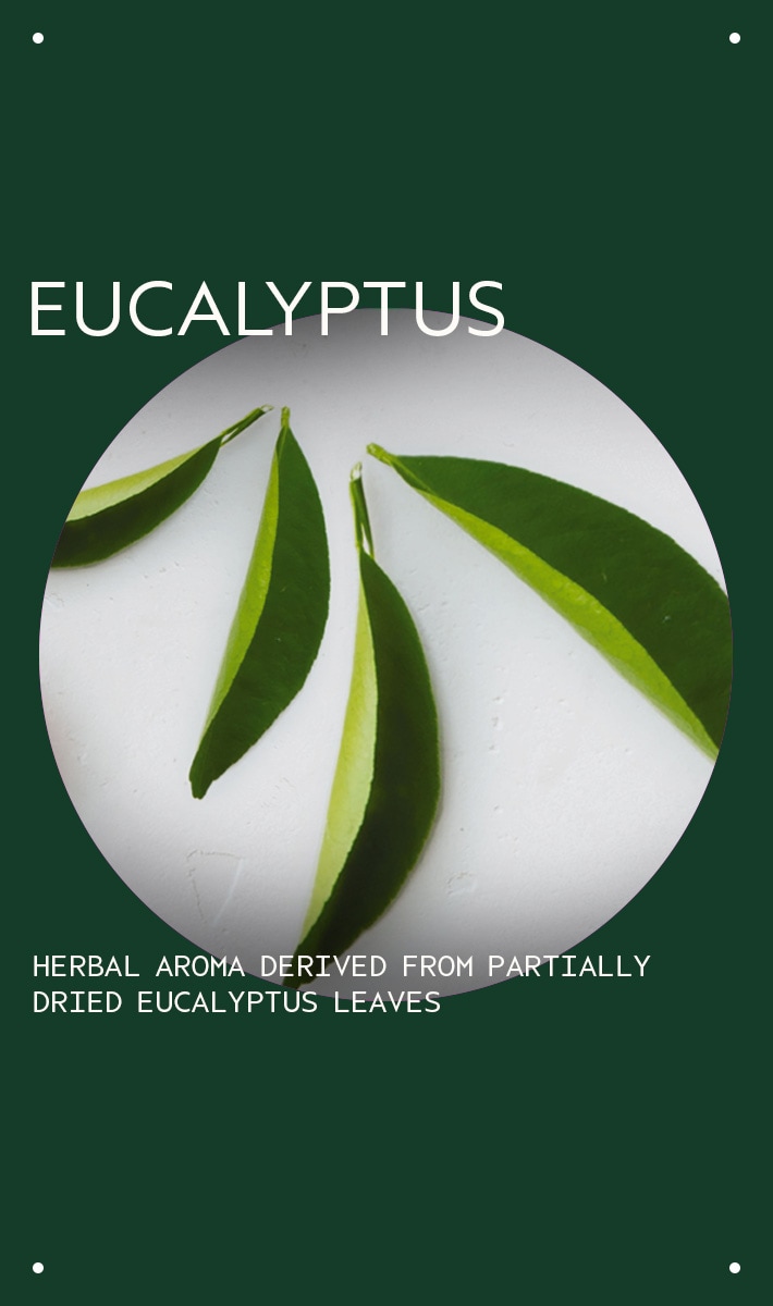 eucalyptus essential oil + base