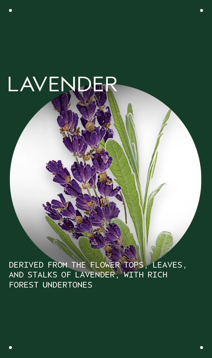 lavender essential oil + base